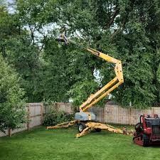 How Our Tree Care Process Works  in  Pelahatchie, MS